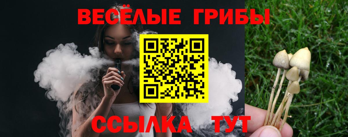 Псилоцибиновые грибы прущие грибы Ноябрьск